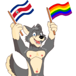 Bandera de Costa Rica